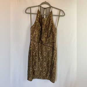 BCBG Max Azria Tenya Brocade and Lace Dress